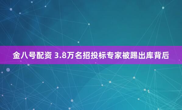 金八号配资 3.8万名招投标专家被踢出库背后
