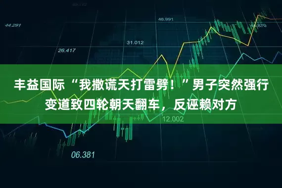 丰益国际 “我撒谎天打雷劈！”男子突然强行变道致四轮朝天翻车，反诬赖对方